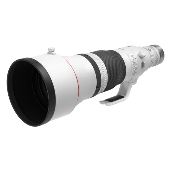 Canon RF600MM F4 L IS USM EMEA Lens