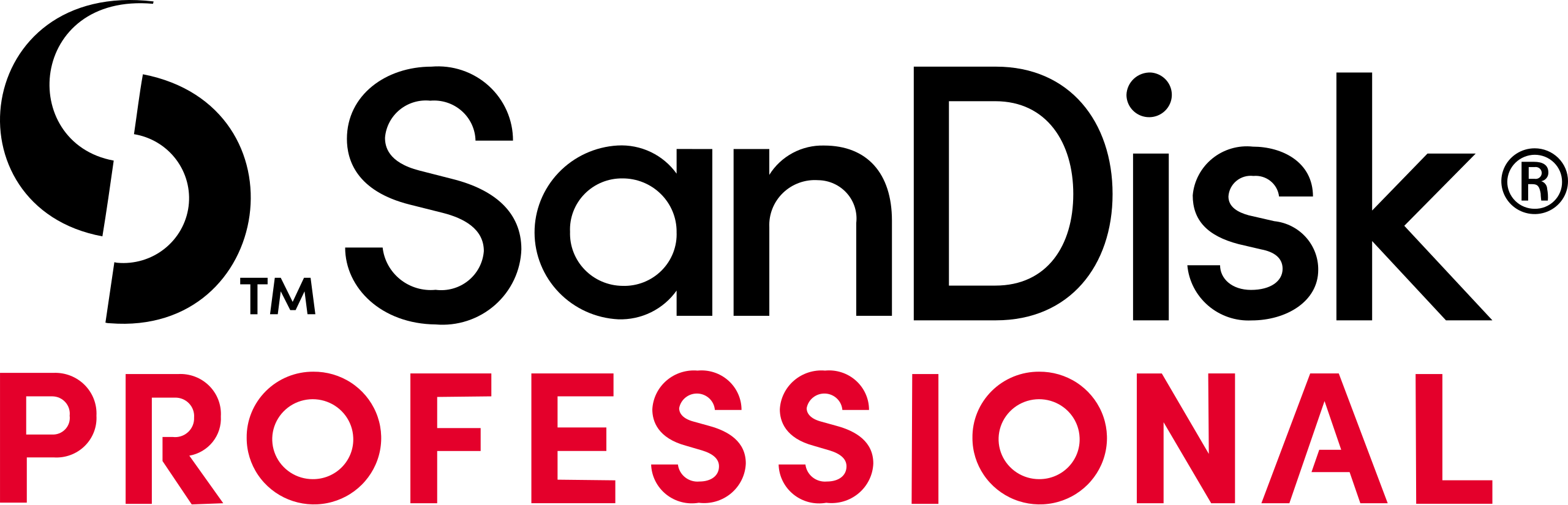 Sandisk Professional