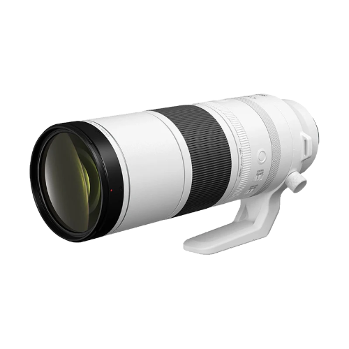 Canon RF 200-800 L324 Lens