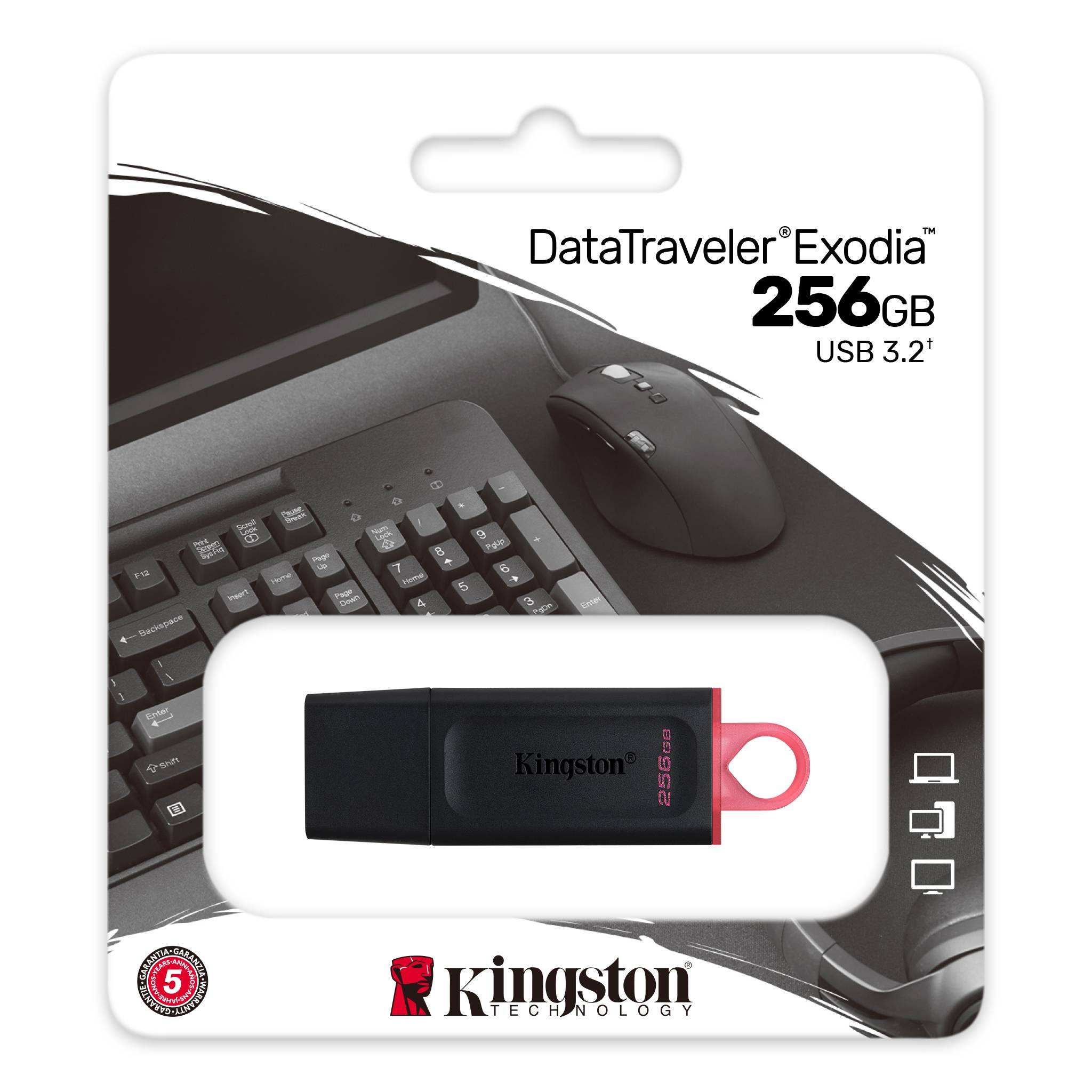 Kingston 256gb Usb3.2 Gen1 Datatraveler Exodia (Black + Pink)